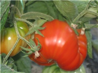 86de3561-Picture 143.jpg